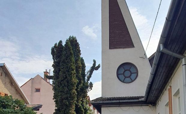 Szref