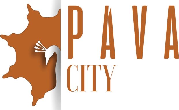 Pava City