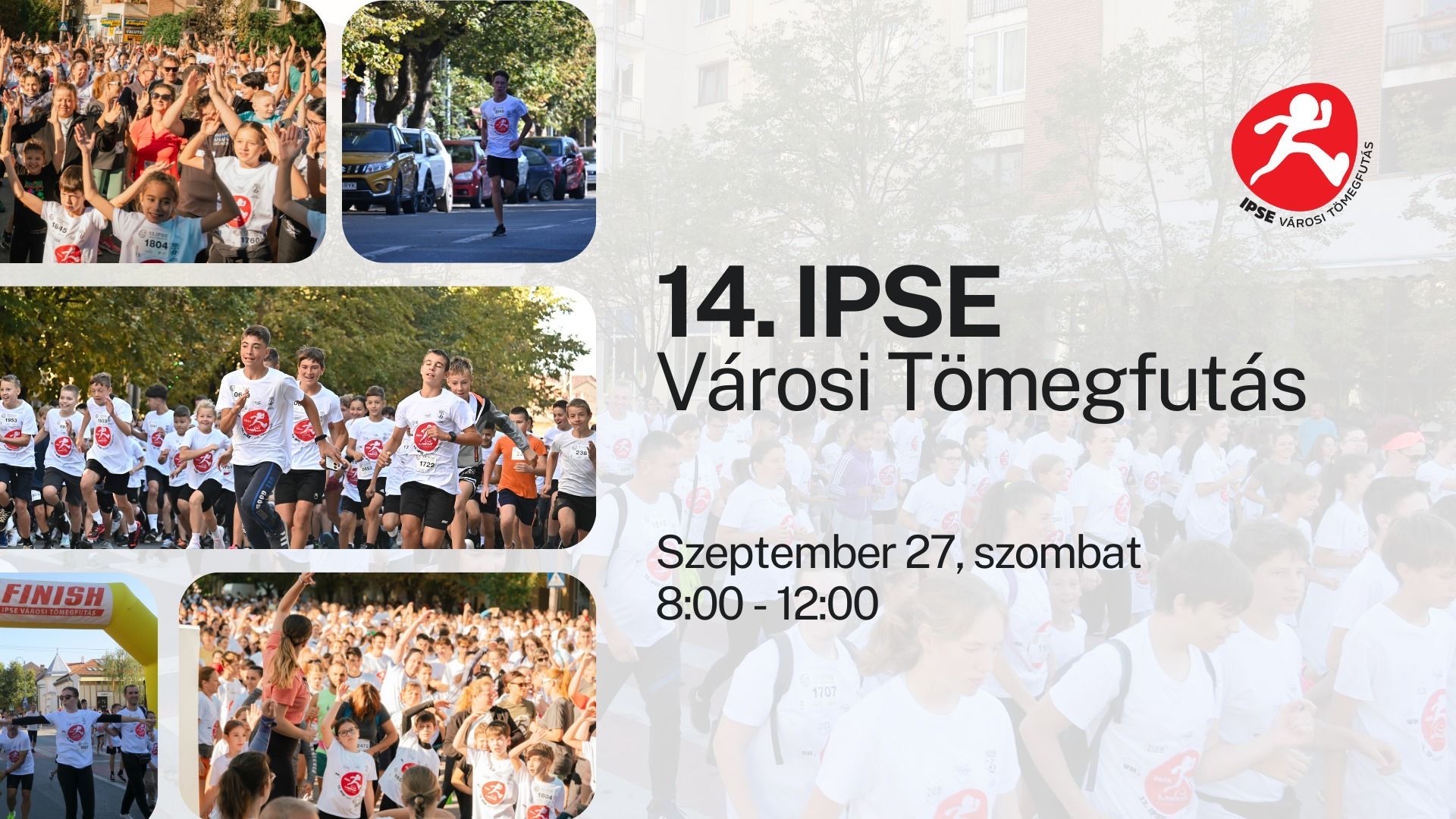 Ipse