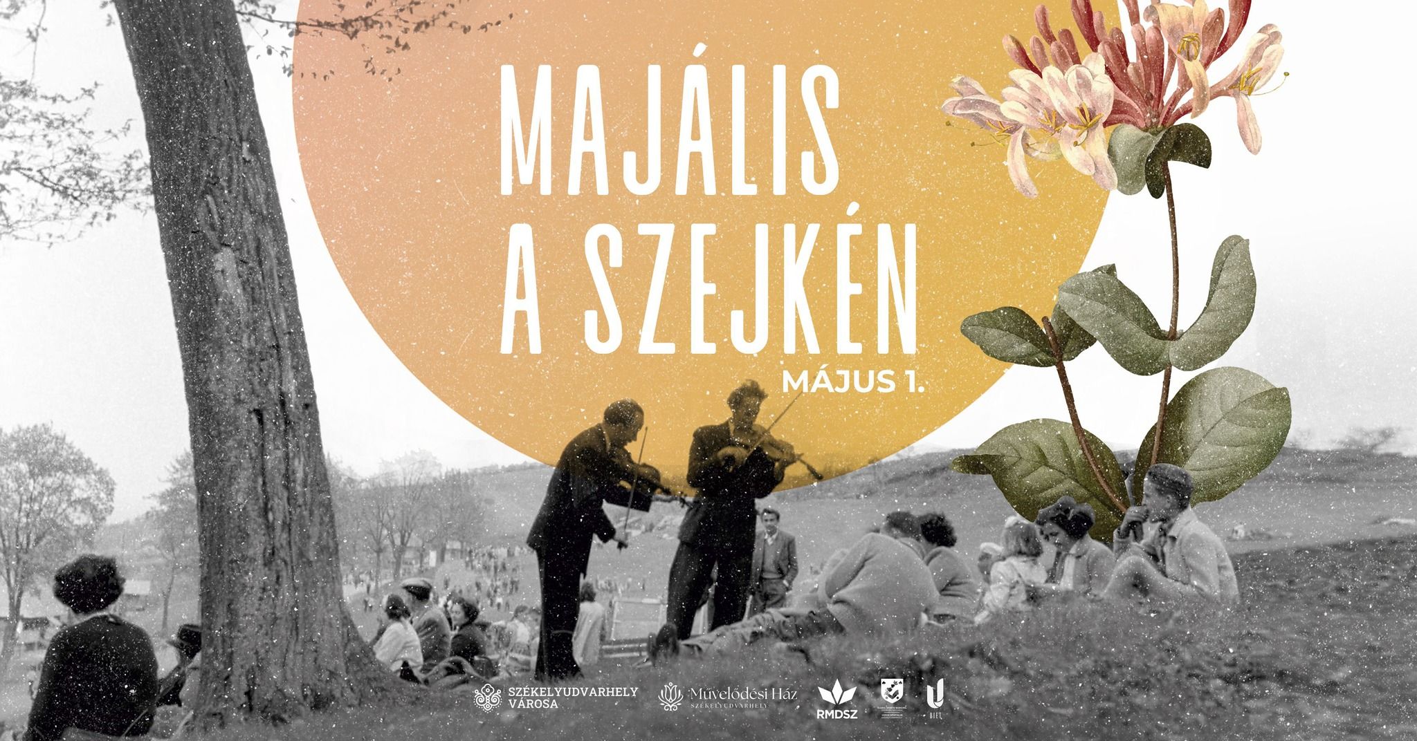 Majalis