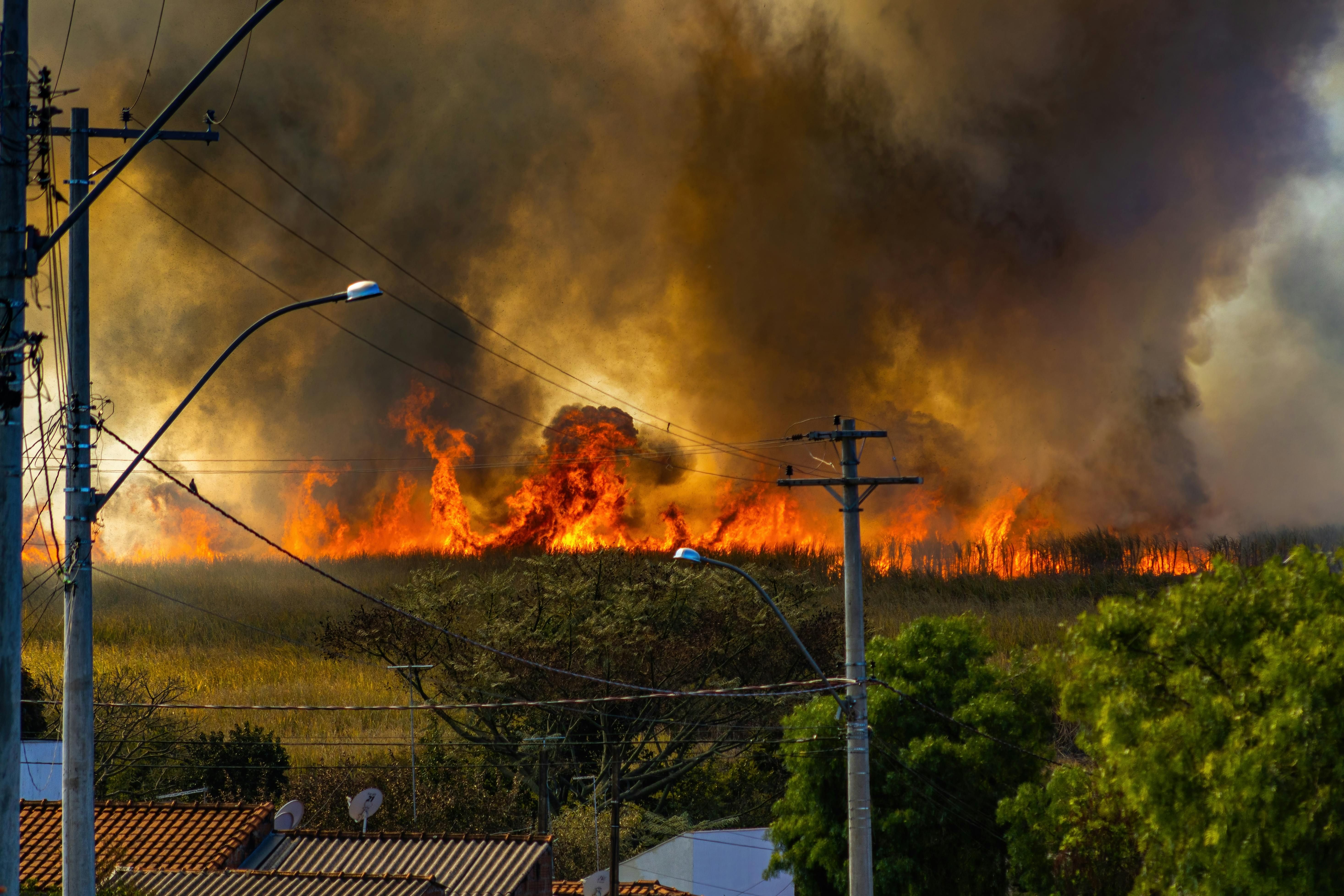Pexels Alexandrep Junior 12027849